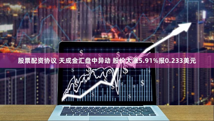 股票配资协议 天成金汇盘中异动 股价大涨5.91%报0.233美元